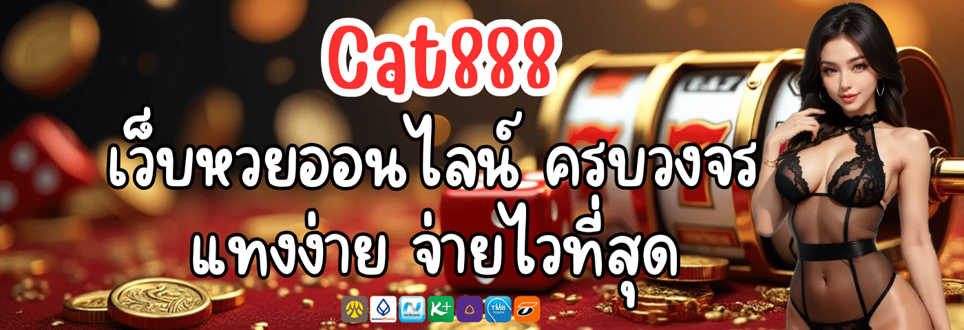 Cat888