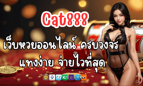 Cat888